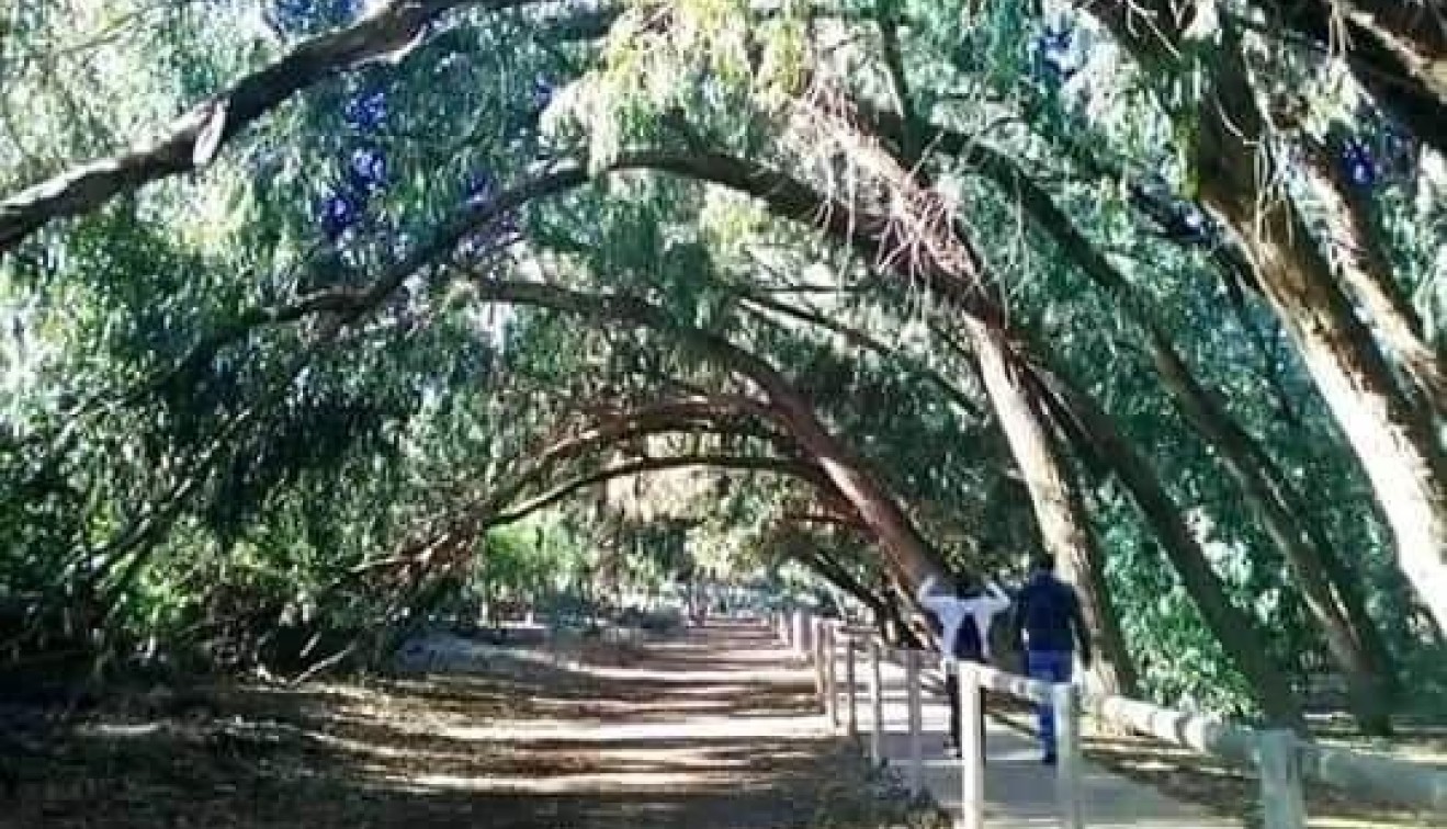 Nieuwbouw - Bungalow - Torrevieja - Altos del Sol