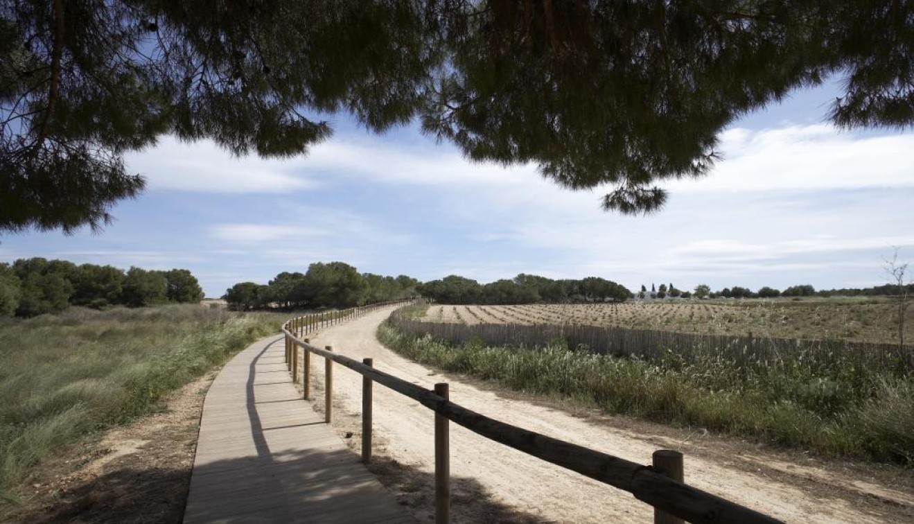 Nieuwbouw - Bungalow - Torrevieja - Altos del Sol