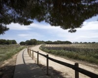Nieuwbouw - Bungalow - Torrevieja - Altos del Sol