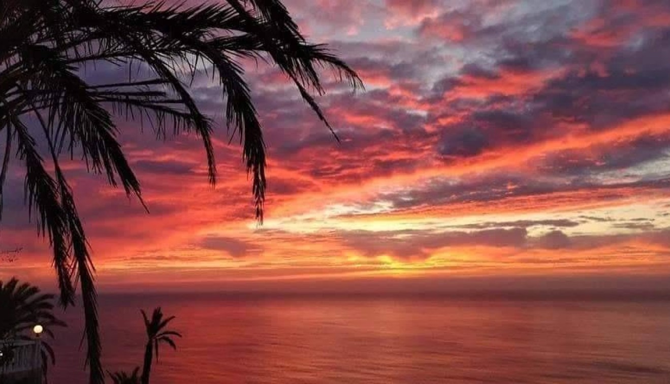 Nieuwbouw - Bungalow - Torrevieja - Altos del Sol