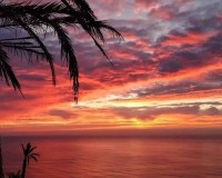 Nieuwbouw - Bungalow - Torrevieja - Altos del Sol
