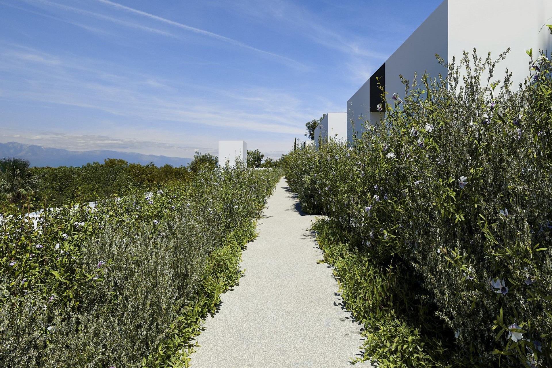 Nieuwbouw - Villa - Alfas del Pi - Barranc Fondo