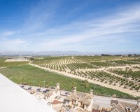 Nieuwbouw - Villa - Algorfa - La finca golf