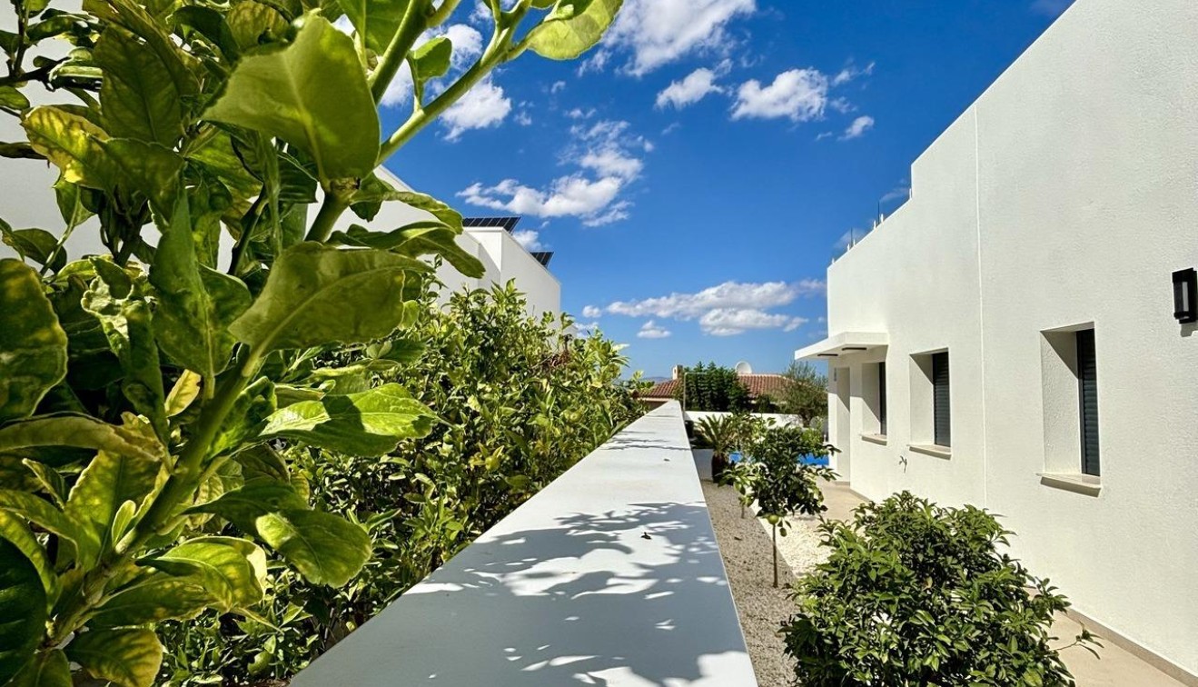 Nieuwbouw - Villa - Benijófar - Pueblo