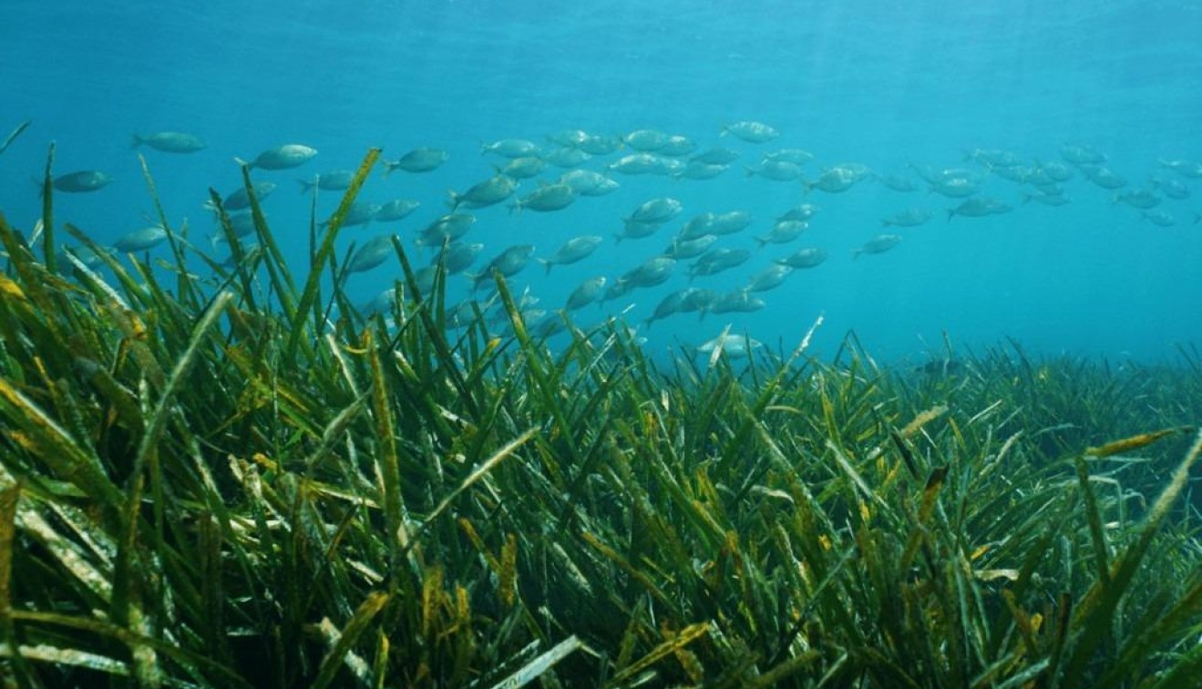 Nieuwbouw - Villa - Benissa - Racó Del Galeno