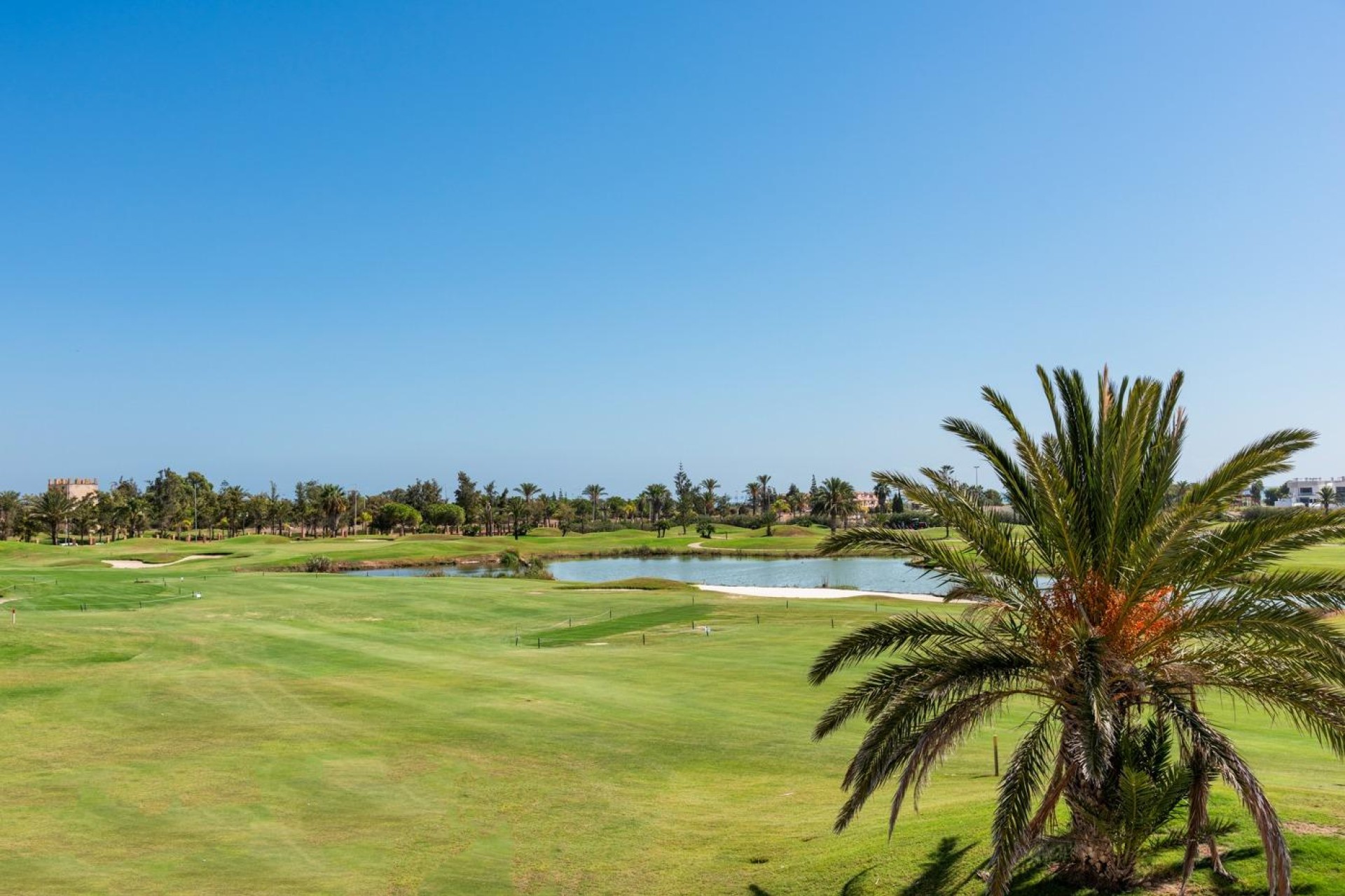Nieuwbouw - Villa - Los Alcázares - Serena Golf