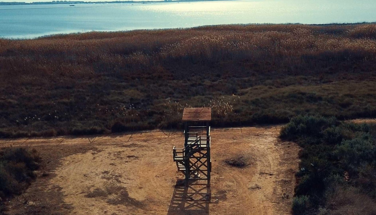 Nieuwbouw - Villa - Los Montesinos - La herrada