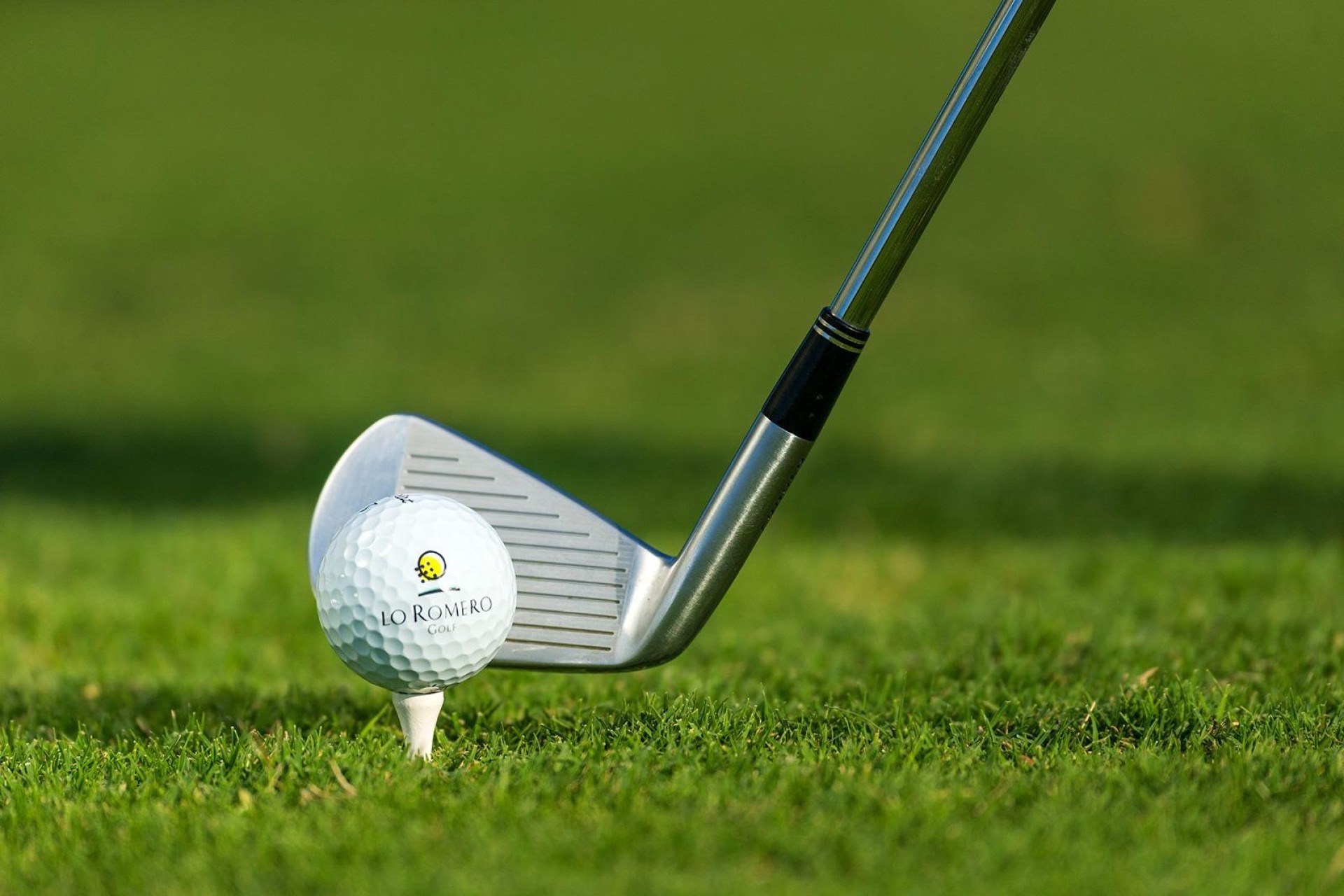 Nieuwbouw - Villa - Pilar de La Horadada - Lo Romero Golf