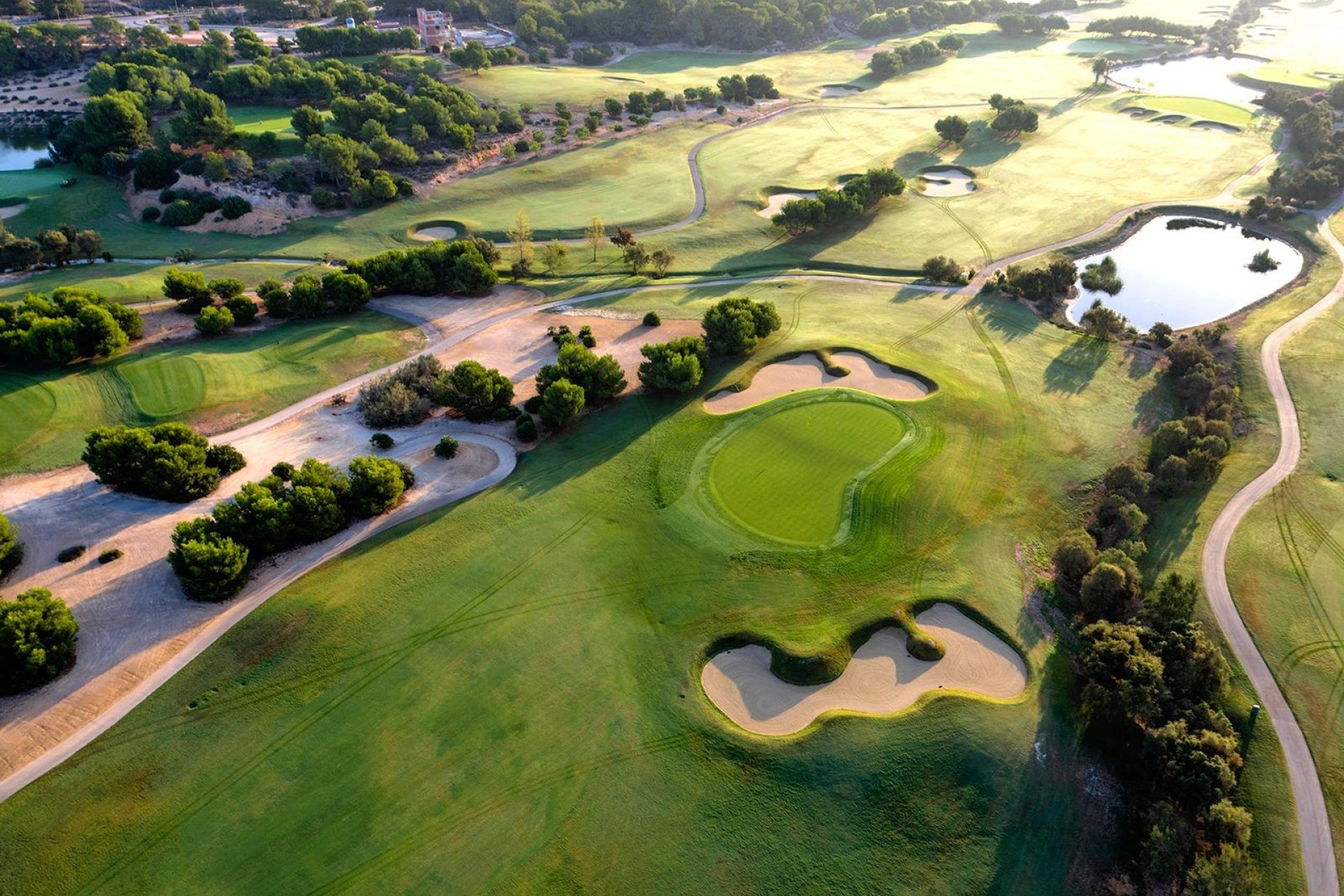 Nieuwbouw - Villa - Pilar de La Horadada - Lo Romero Golf