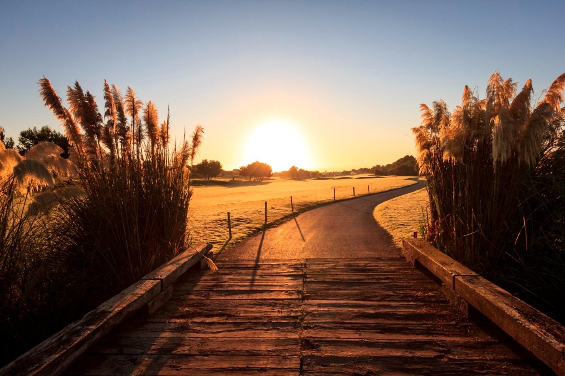 Nieuwbouw - Villa - Pilar de La Horadada - Lo Romero Golf