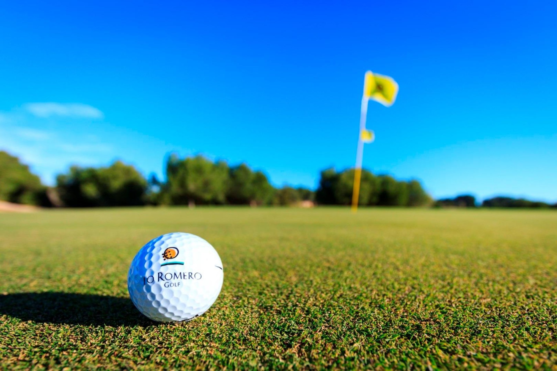 Nieuwbouw - Villa - Pilar de La Horadada - Lo Romero Golf