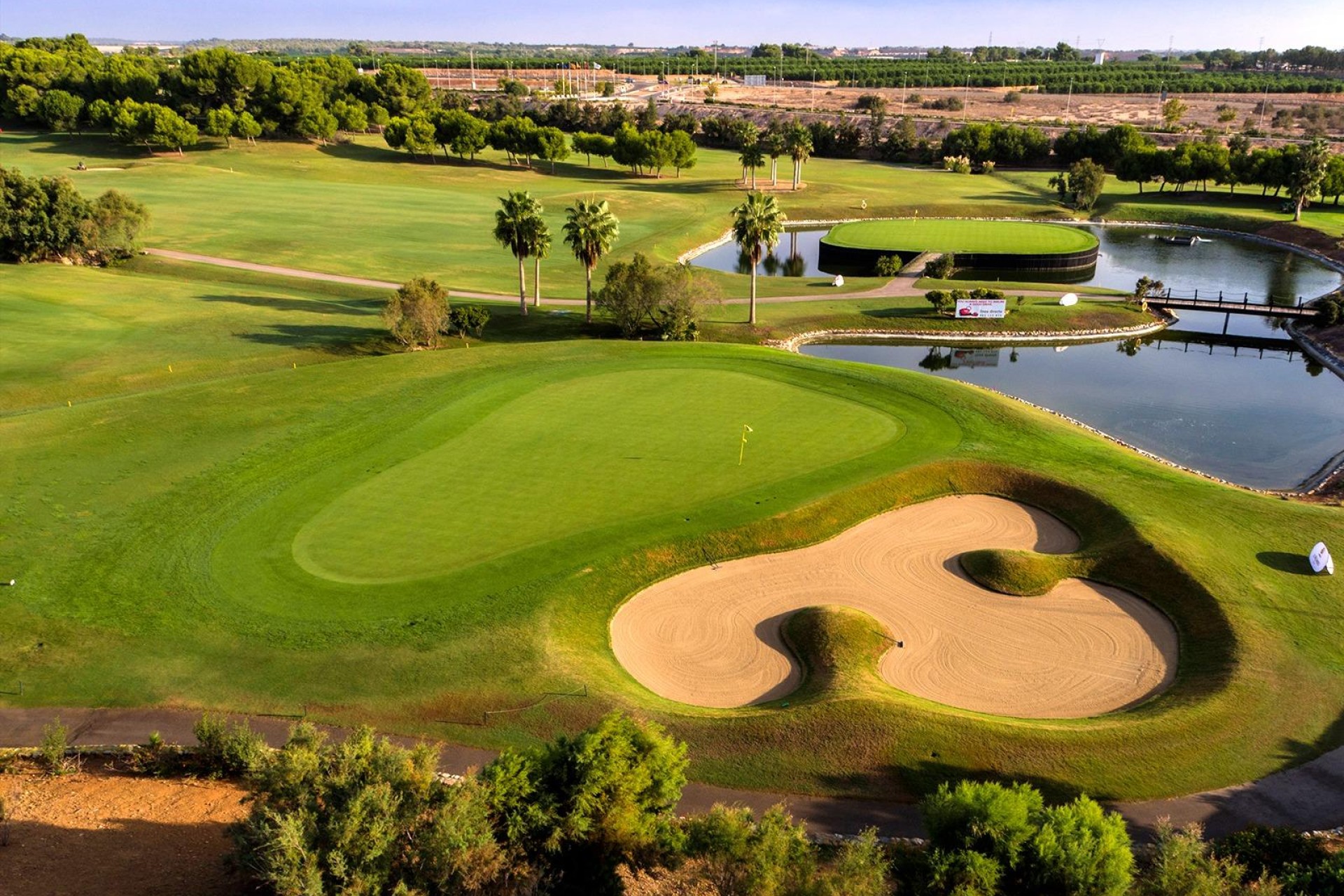 Nieuwbouw - Villa - Pilar de La Horadada - Lo Romero Golf