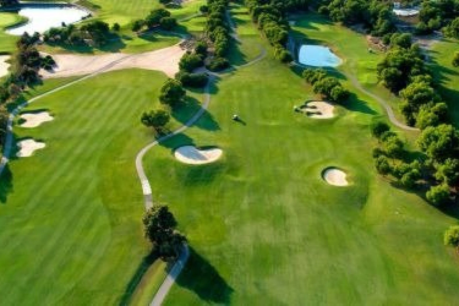 Nieuwbouw - Villa - Pilar de La Horadada - Lo Romero Golf