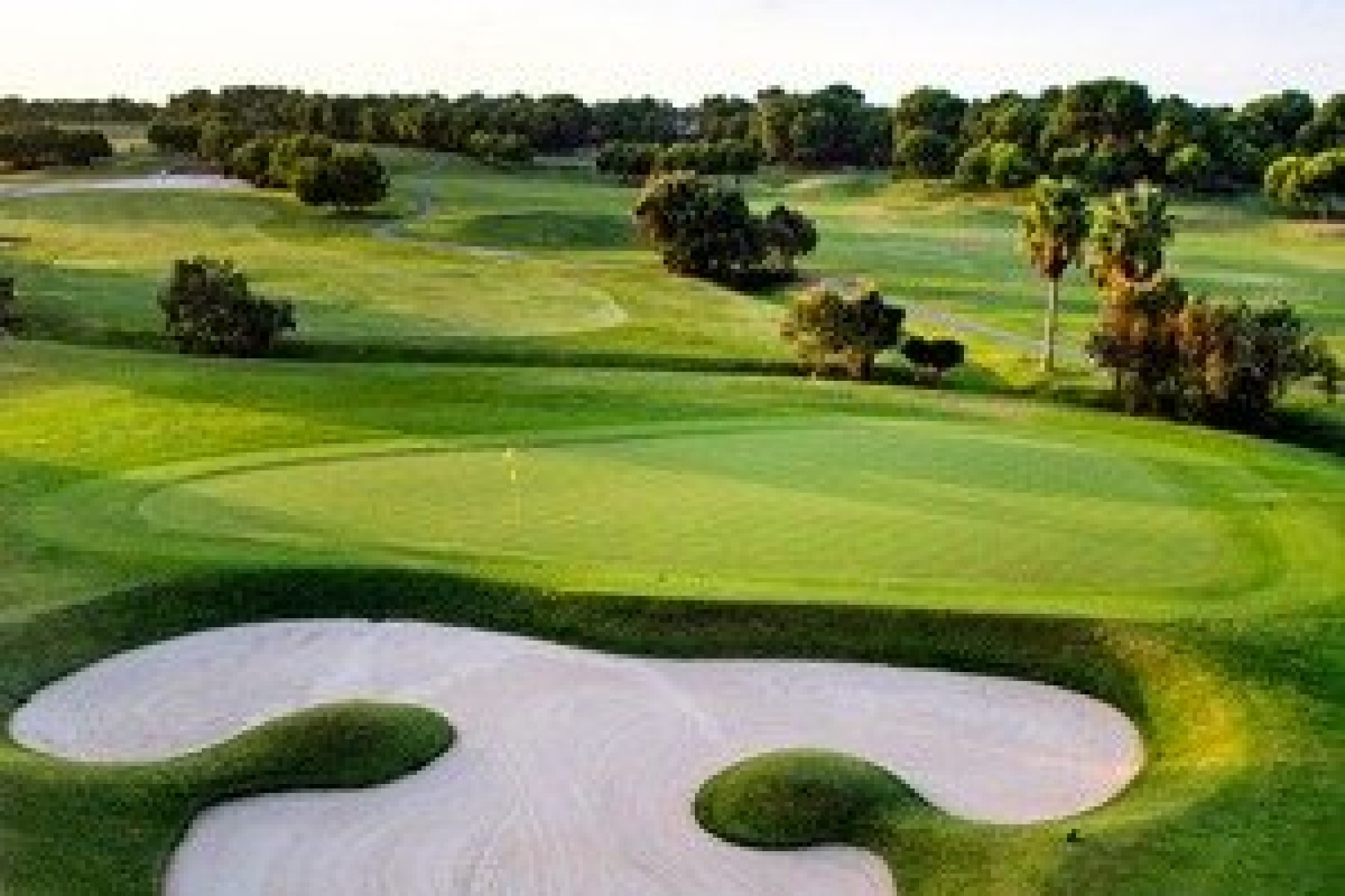 Nieuwbouw - Villa - Pilar de La Horadada - Lo Romero Golf