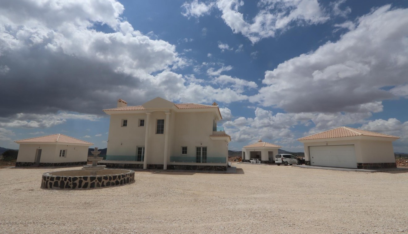 Nieuwbouw - Villa - Pinoso - Camino Del Prado