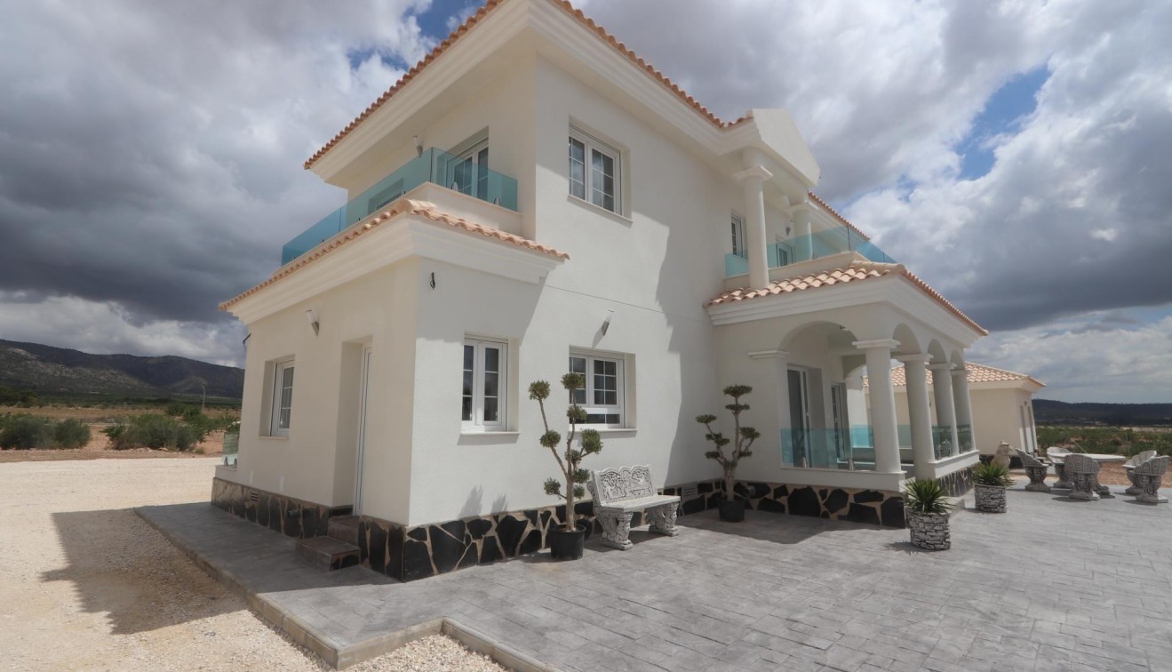 Nieuwbouw - Villa - Pinoso - Camino Del Prado