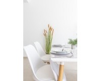 Nieuwbouw - Villa - San Javier - Parque de los leones