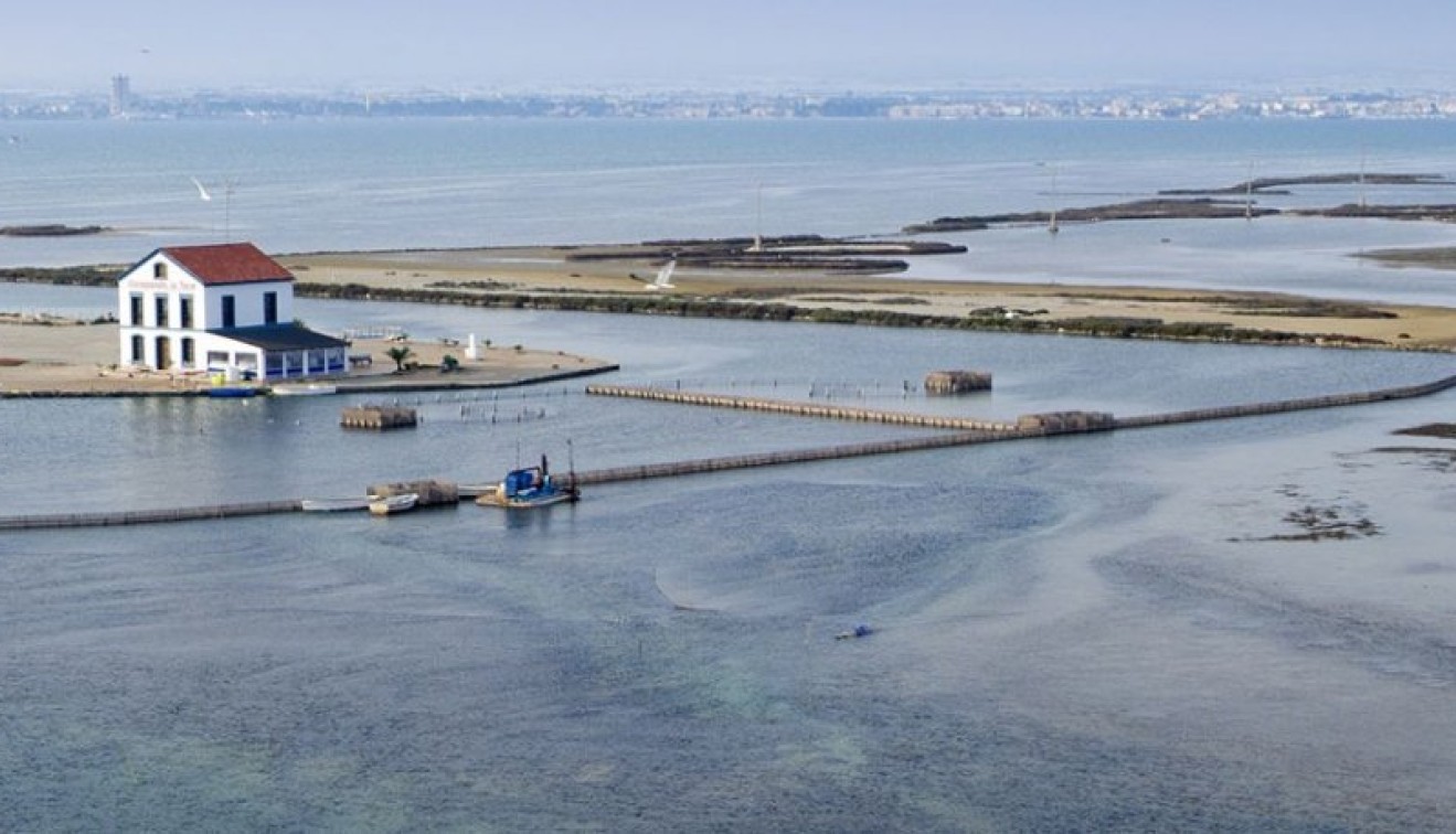 Nieuwbouw - Villa - San Pedro del Pinatar - El salero