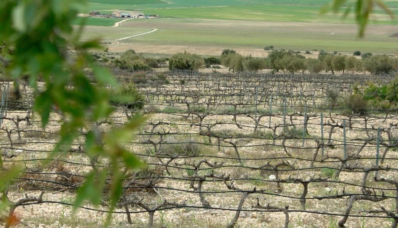 Nieuwbouw - Villa - Yecla