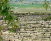 Nieuwbouw - Villa - Yecla