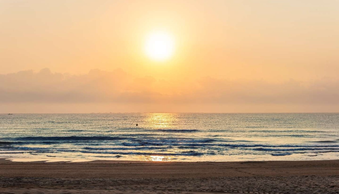 Nouvelle construction - Apartment - Guardamar del Segura