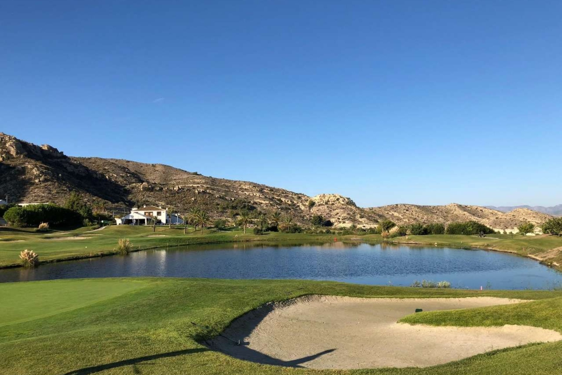 Nouvelle construction - Apartment - Monforte del Cid - Font del Llop