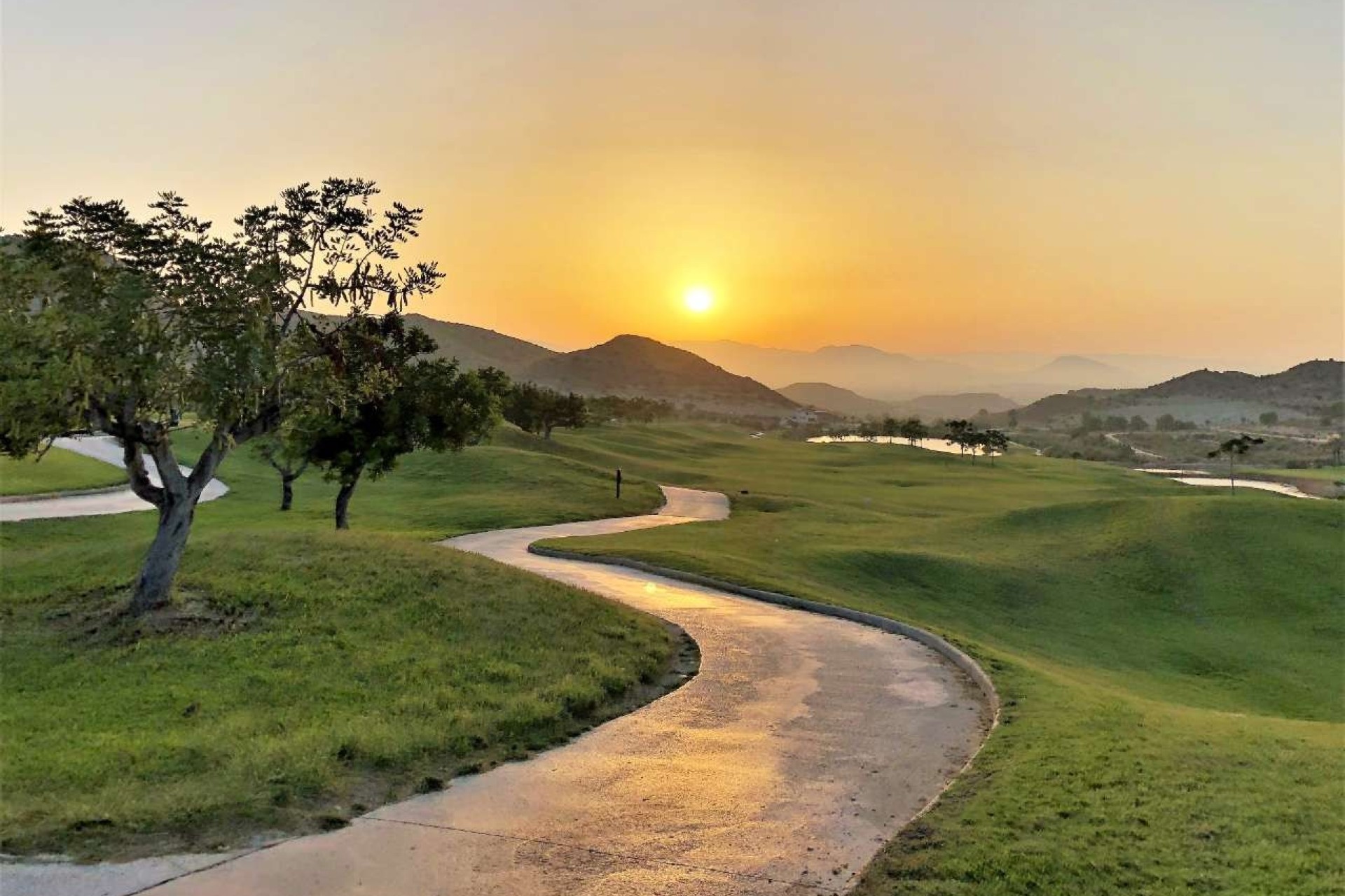 Nouvelle construction - Apartment - Monforte del Cid - Font del Llop