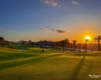 Nouvelle construction - Apartment - Pulpi - Aguilón Golf