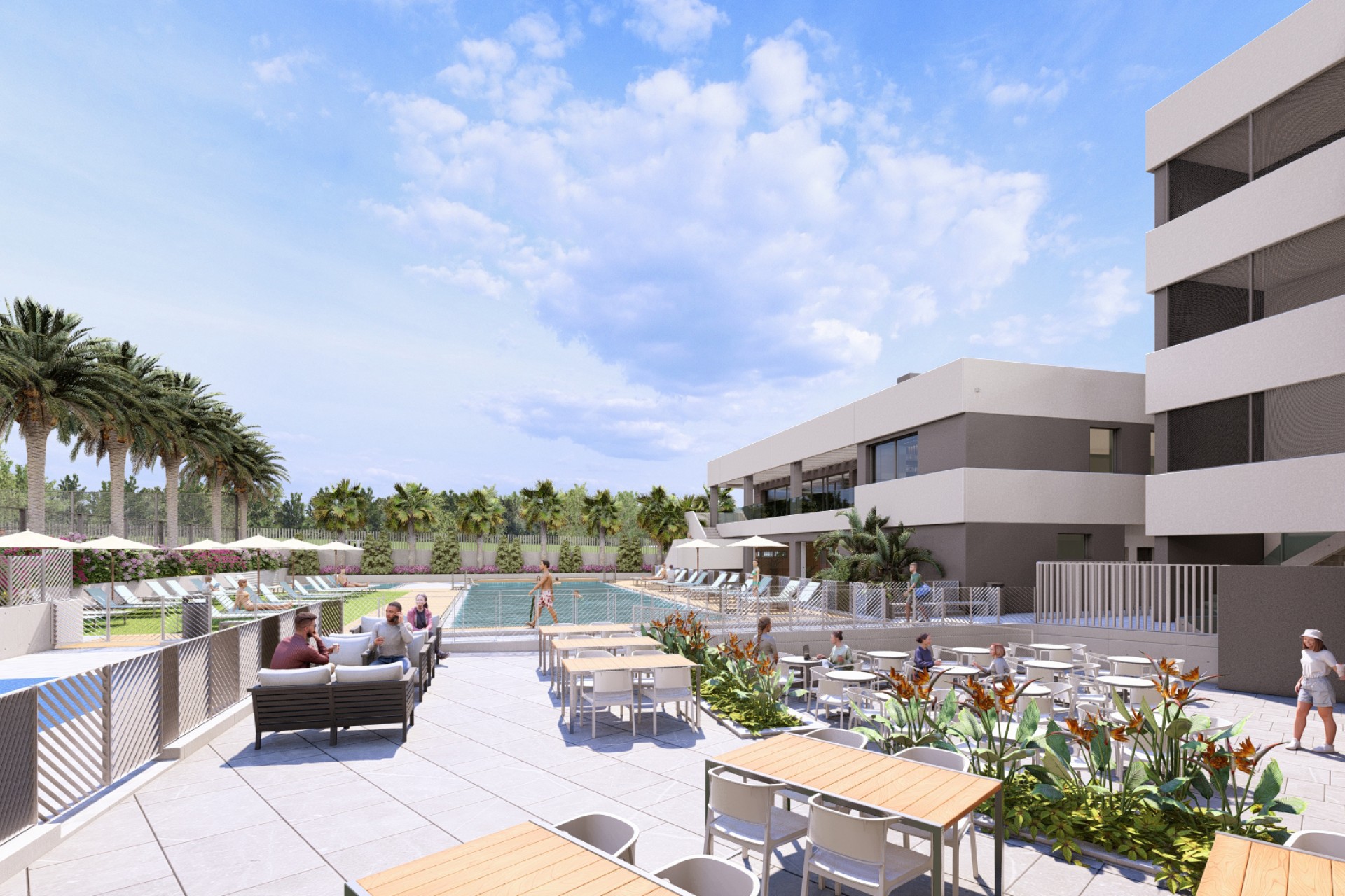 Nouvelle construction - Apartment - Torrevieja - Spain
