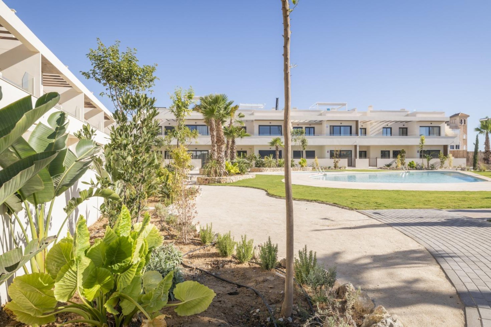 Nouvelle construction - Bungalow - Torrevieja - Villa Amalia