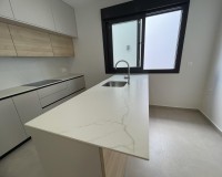 Nouvelle construction - Villa - Almoradí - Heredades