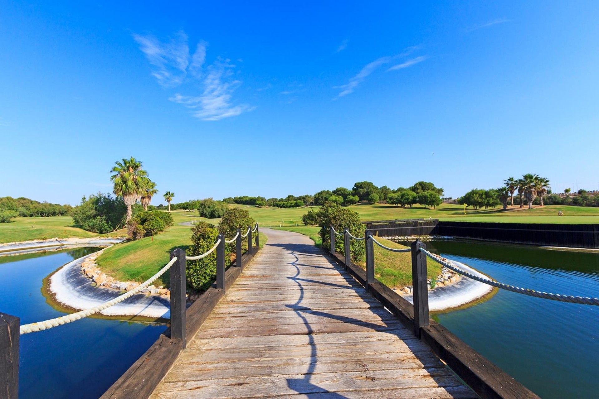 Nouvelle construction - Villa - Pilar de La Horadada - Lo Romero Golf