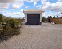 Nouvelle construction - Villa - Pinoso - Camino Del Prado