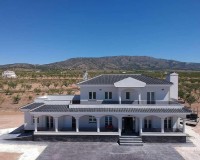 Nouvelle construction - Villa - Pinoso - Camino Del Prado