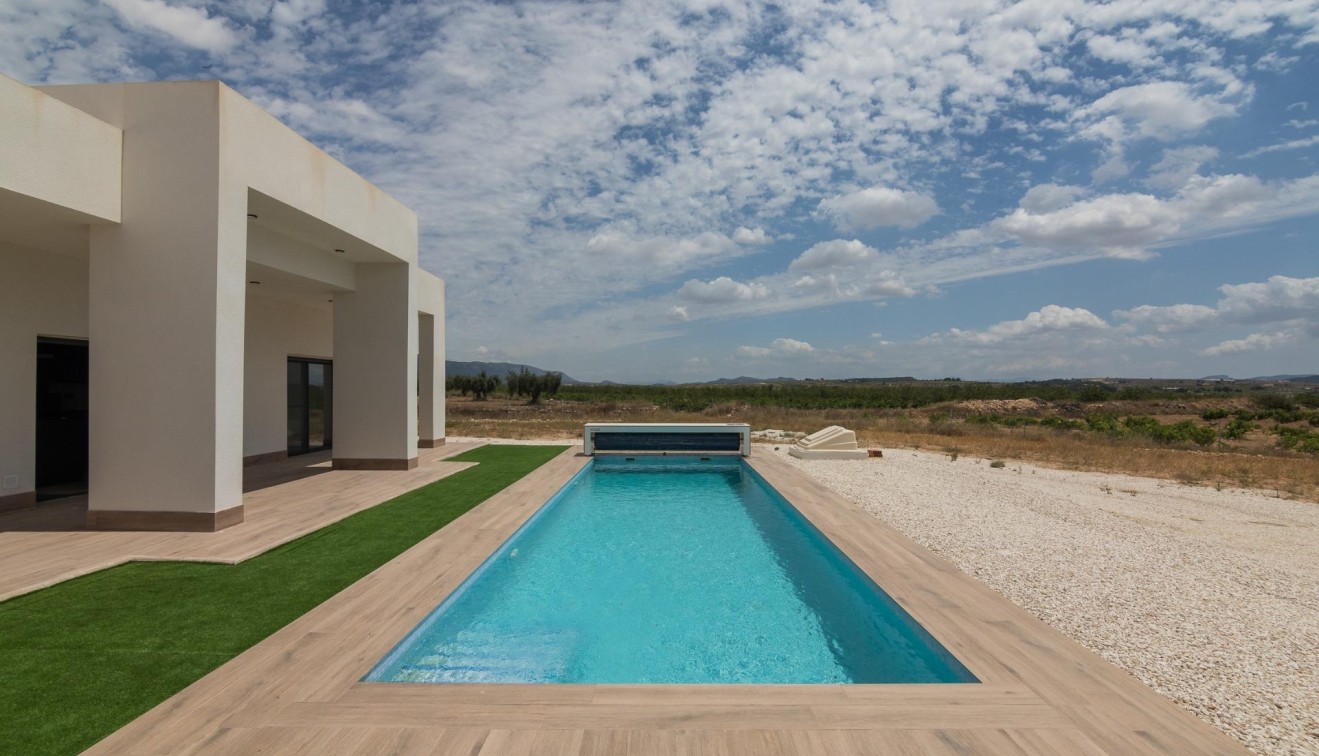 Nouvelle construction - Villa - Pinoso - Lel