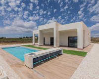 Nouvelle construction - Villa - Pinoso - Lel