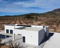 Nouvelle construction - Villa - Pinoso - Lel