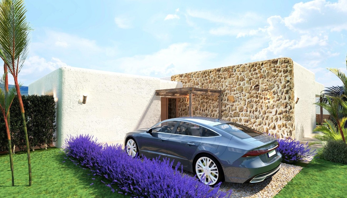 Nouvelle construction - Villa - Pinoso - Rodriguillo