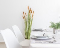 Nouvelle construction - Villa - San Javier - Parque de los leones