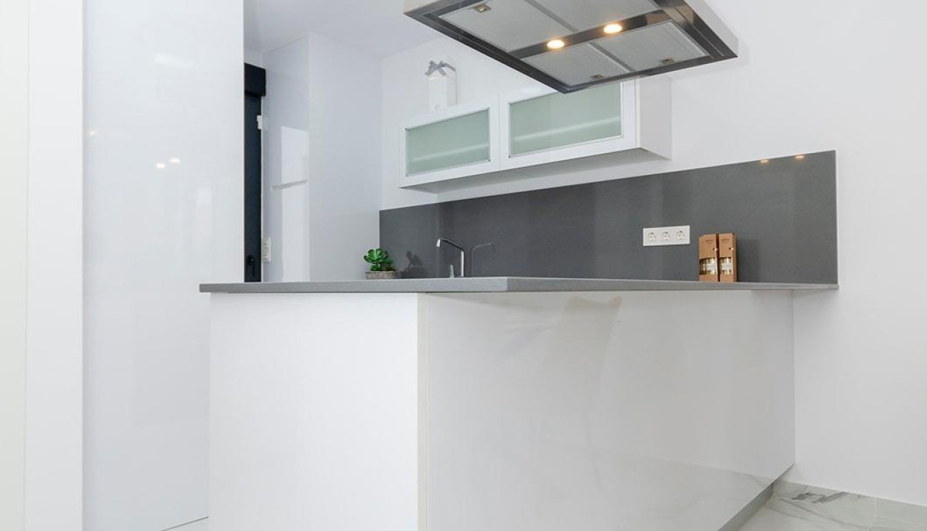 Nouvelle construction - Villa - Torrevieja - Torretas
