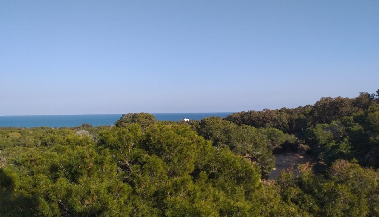 Novostavba - Apartment - Guardamar del Segura - Pueblo