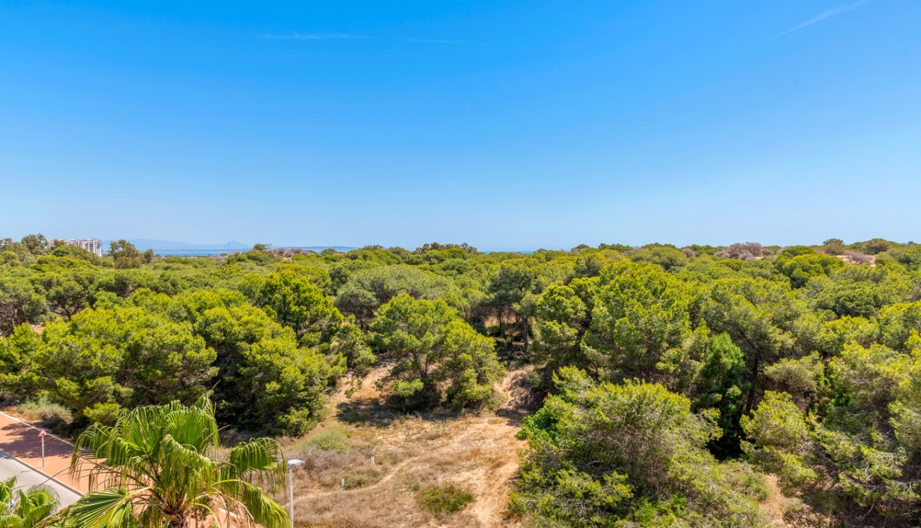 Novostavba - Apartment - Guardamar del Segura - Puerto Deportivo