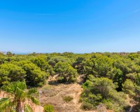 Novostavba - Apartment - Guardamar del Segura - Puerto Deportivo