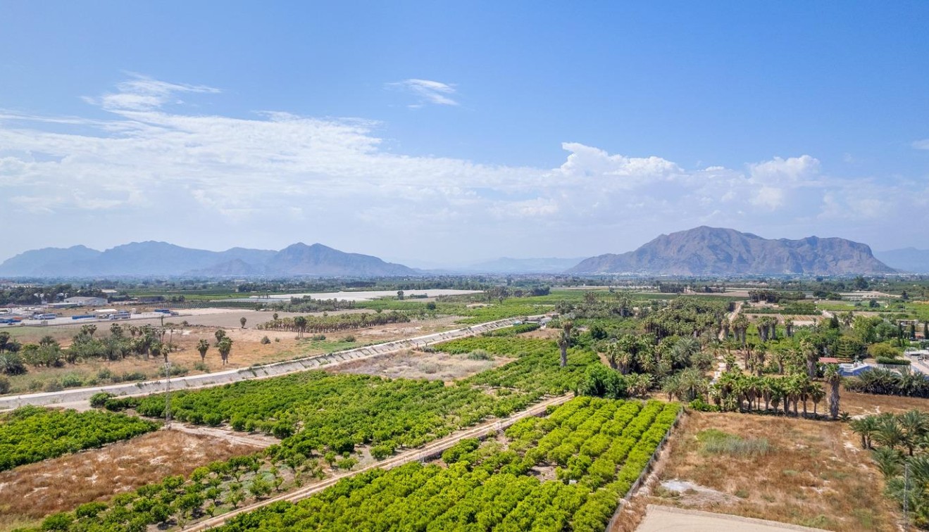 Novostavba - Apartment - Jacarilla - pueblo