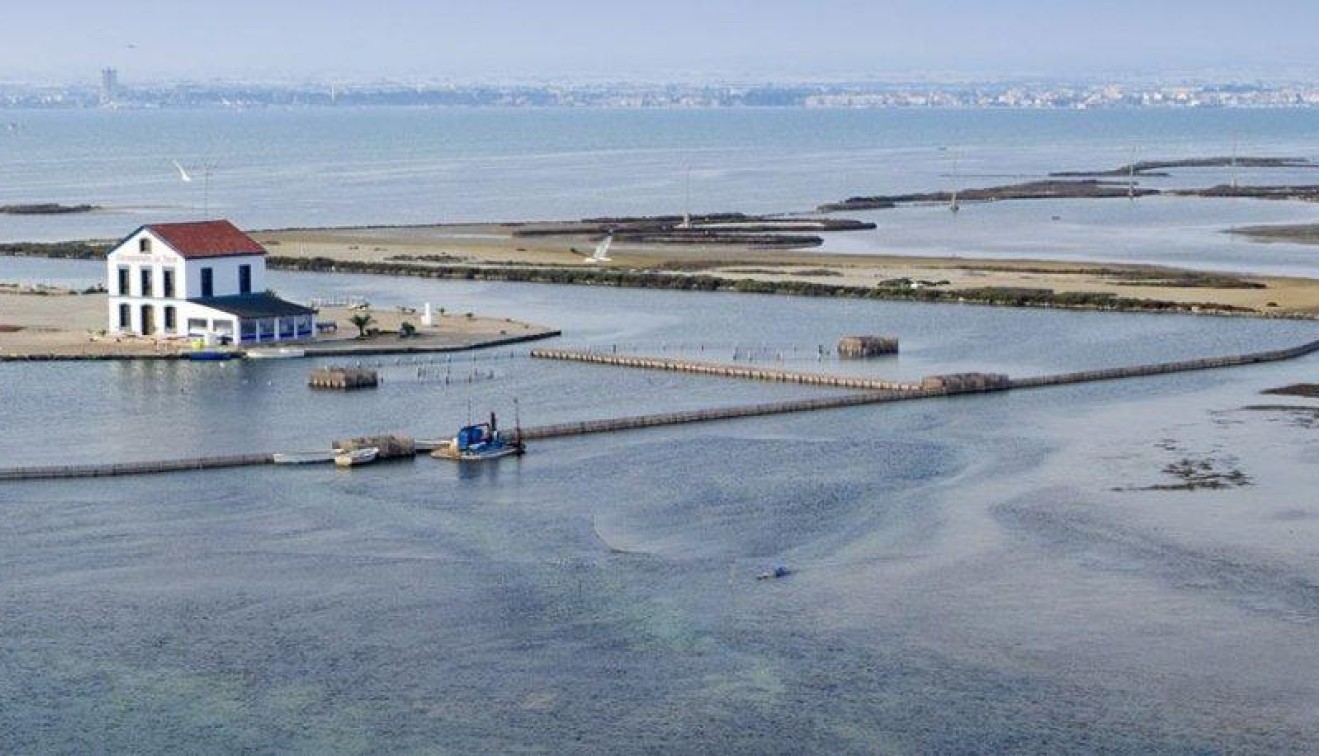 Novostavba - Apartment - San Pedro del Pinatar - Pueblo