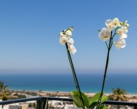 Novostavba - Apartment - Santa Pola - Gran Alacant