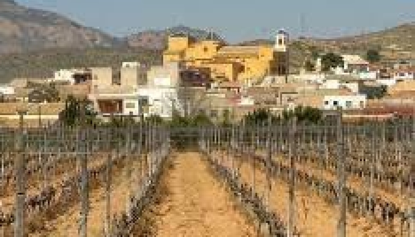 Novostavba - Bungalow - Hondon de las Nieves - El Salero