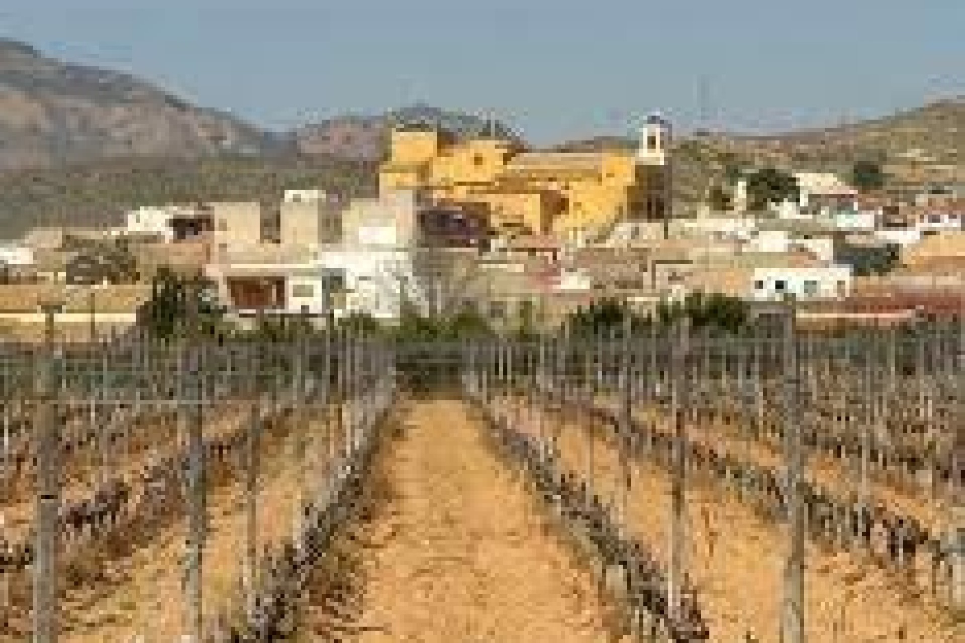 Novostavba - Bungalow - Hondon de las Nieves - El Salero