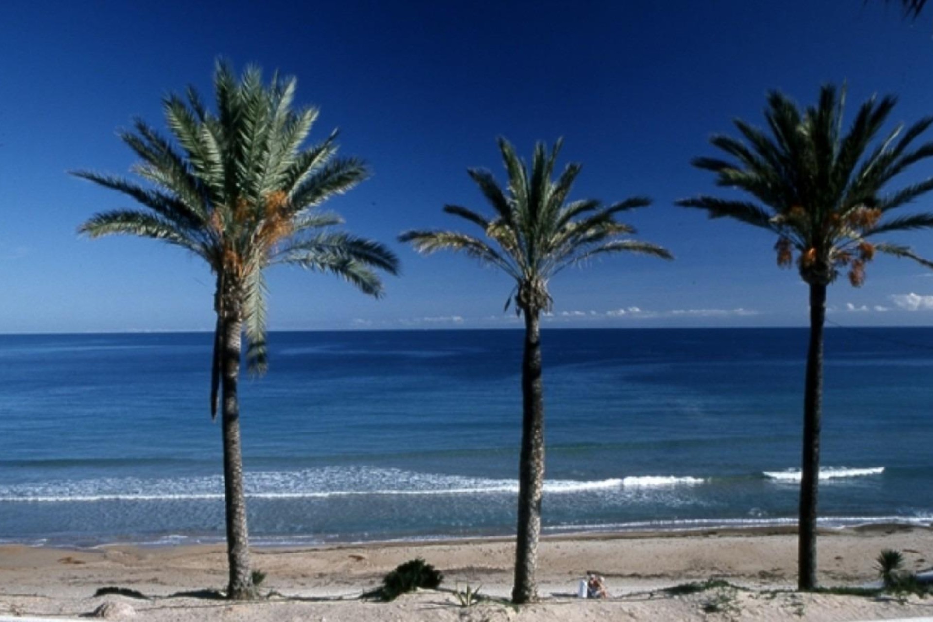 Novostavba - Bungalow - Pilar de La Horadada - Parque Ramon eugenio Escudero