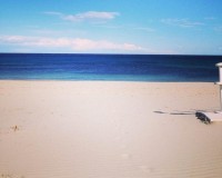 Novostavba - Bungalow - Pilar de La Horadada - Parque Ramon eugenio Escudero